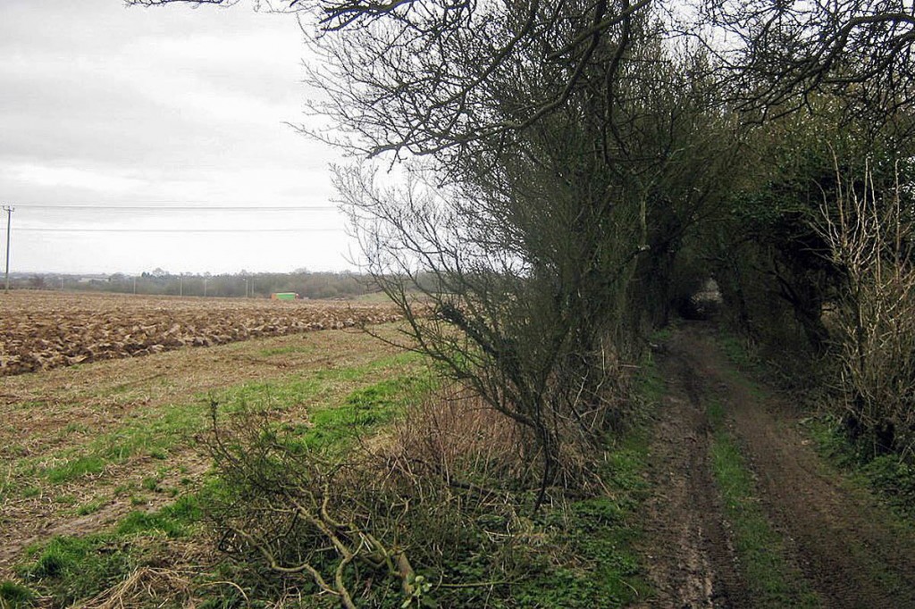 The North Downs Way at the site. Photo: David Anstiss The North Downs Way at the site. Photo: David Anstiss