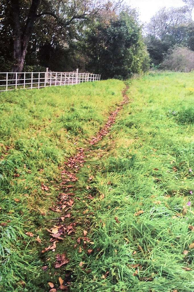 The path at Fulford The path at Fulford
