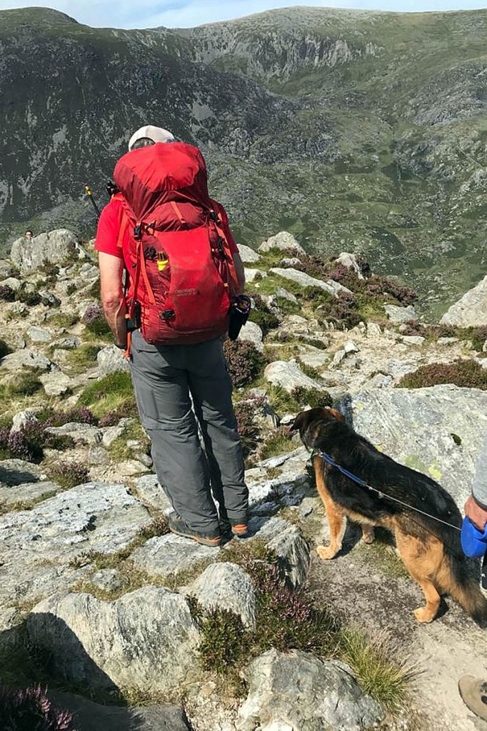 A team member with the dog on Tryfan. Photo: OVMRO