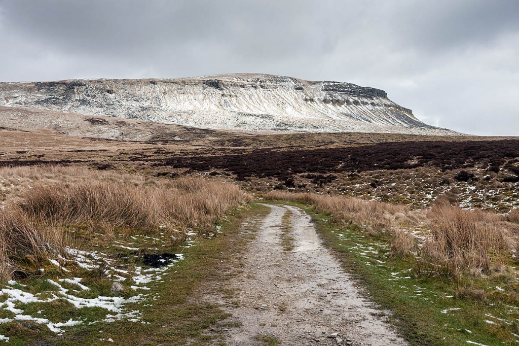 The incident happened as the walker was descending Pen-y-ghent. Photo: Bob Smith/grough The incident happened as the walker was descending Pen-y-ghent. Photo: Bob Smith/grough