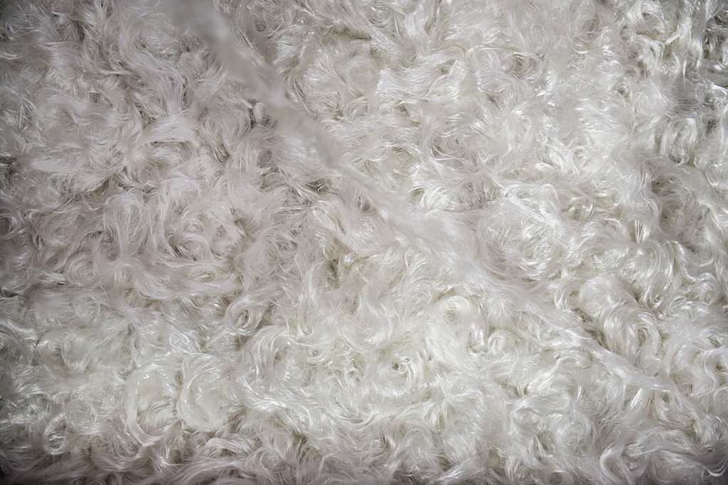 PrimaLoft Bio: coming to a jacket near you soon. Photo: Seth Thompson/PrimaLoft PrimaLoft Bio: coming to a jacket near you soon. Photo: Seth Thompson/PrimaLoft