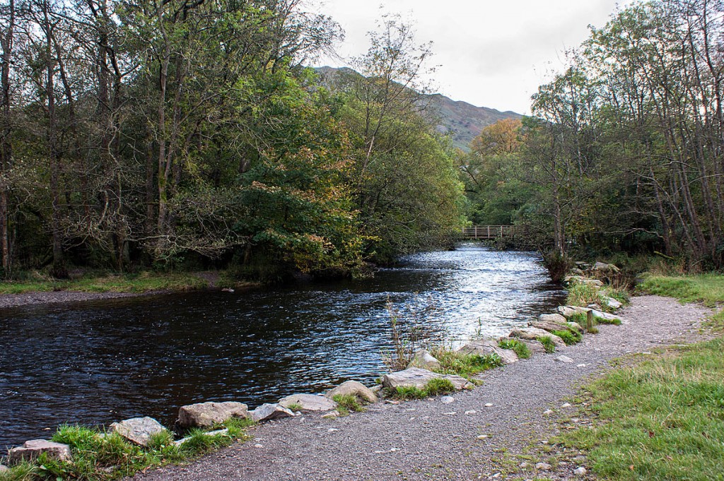 Penny Rock Woods, near Grasmere. Photo: Ian Greig CC-BY-SA-2.0 Penny Rock Woods, near Grasmere. Photo: Ian Greig CC-BY-SA-2.0
