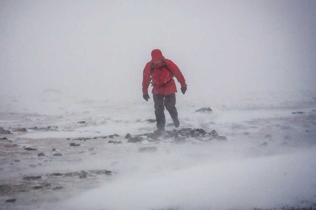 Blizzards are likely across large areas of Britain. Photo: Bob Smith/grough