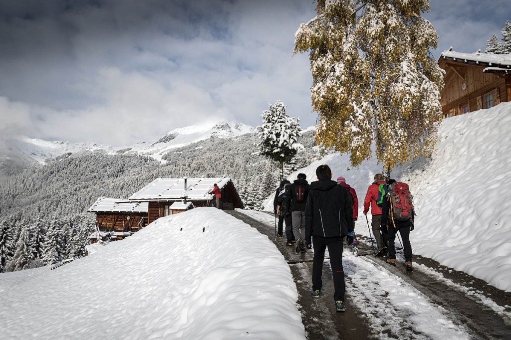 Ms Merkel is said to favour the South Tyrol area of Italy. Photo: Bob Smith/grough