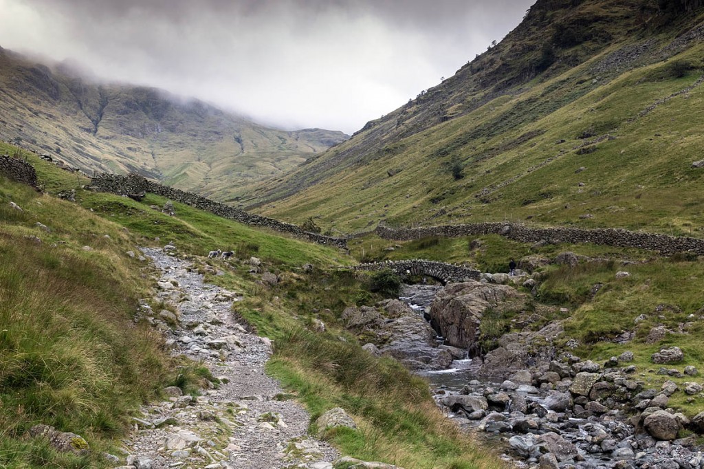 The group was found above Stockley Bridge in Grains Gill. Photo: Bob Smith/grough