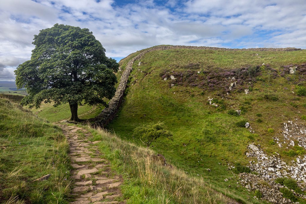 Sycamore Gap is on the route of both the Pennine Way and the Hadrian's Wall Path. Photo: Bob Smith Photography