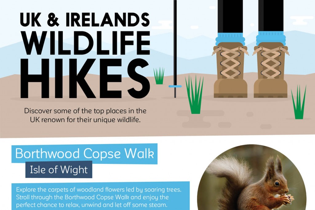The UK and Ireland's Top Wildlife Hikes The UK and Ireland's Top Wildlife Hikes