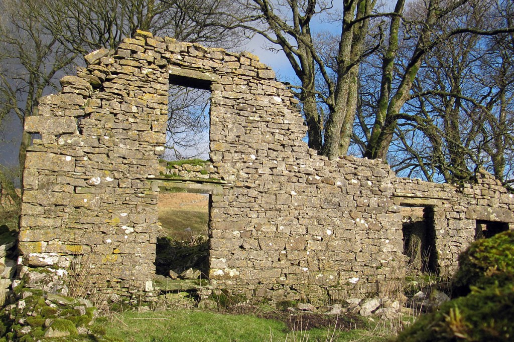 The remains of a house at Thorns. Photo: Don Gamble, YDMT