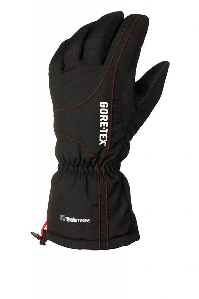 Trekmates Chamonix Glove GTX Trekmates Chamonix Glove GTX