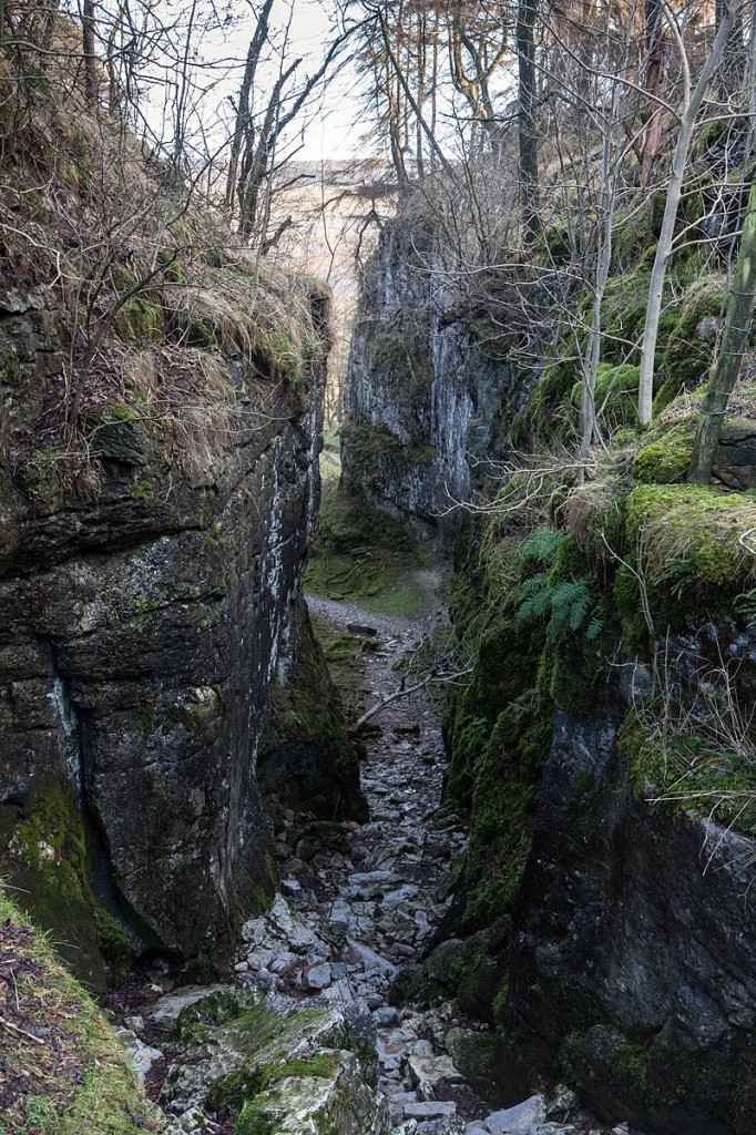 Trow Gill, near Clapham, scene of one of the rescues. Photo: Bob Smith/grough Trow Gill, near Clapham, scene of one of the rescues. Photo: Bob Smith/grough