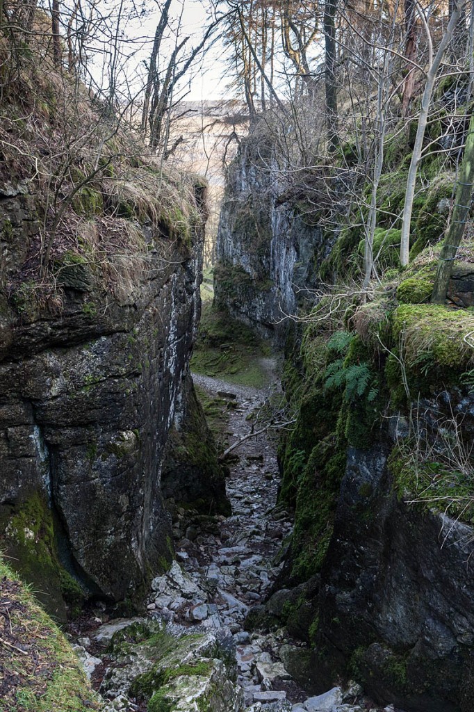 Trow Gill, near Clapham, scene of one of the rescues. Photo: Bob Smith/grough