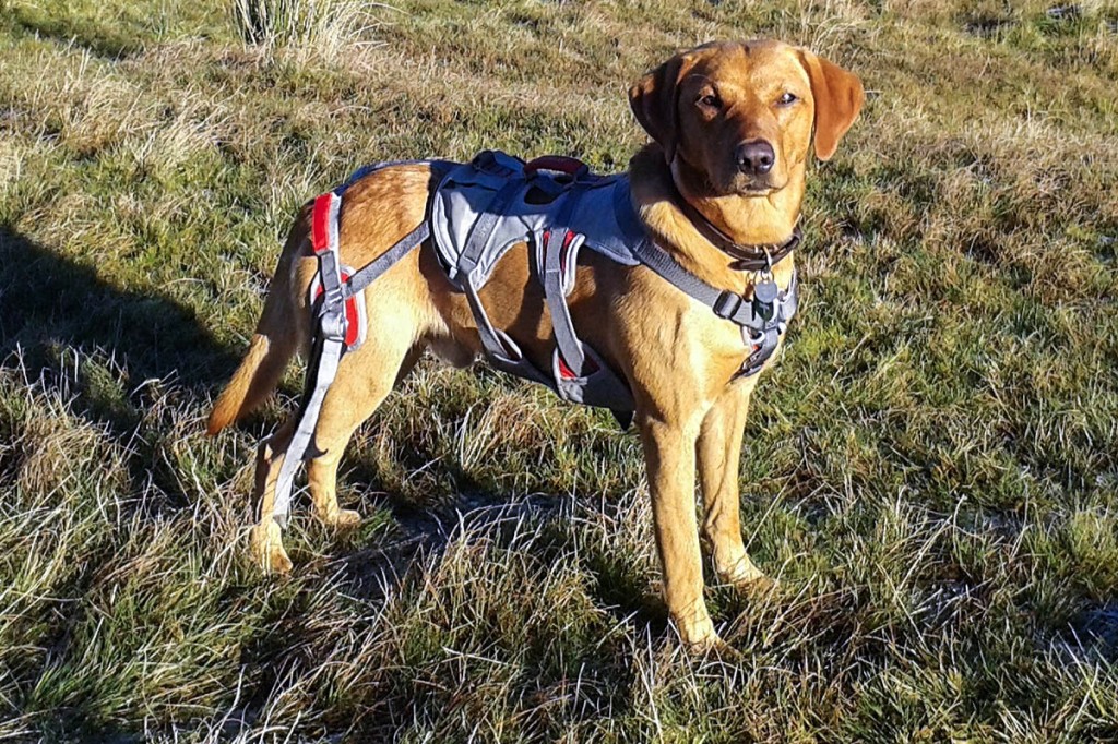 Rauour wearing his helicopter winching harness Rauour wearing his helicopter winching harness