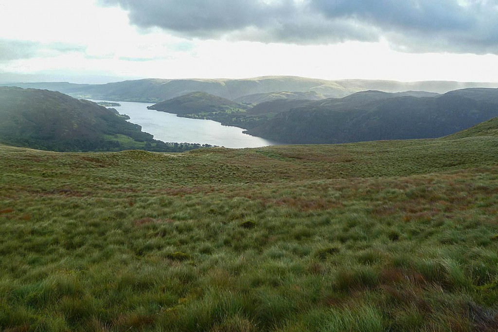 The woman was walking on Watermillock Common. Photo: Michael Graham CC-BY-SA-2.0 The woman was walking on Watermillock Common. Photo: Michael Graham CC-BY-SA-2.0