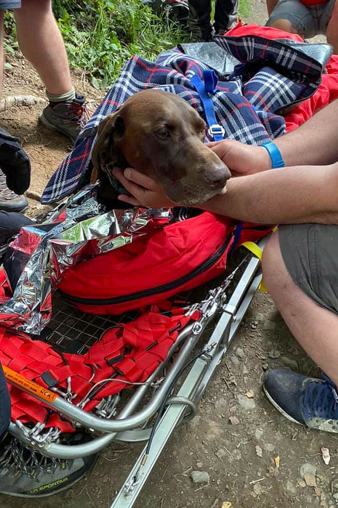 Alfie was placed on a team stretcher after his fall. Photo: Western Beacons MRT