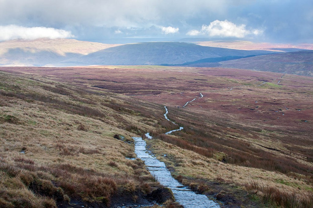 The flanks of Whernside, looking towards Grain Head. Photo: Bob Smith/grough The flanks of Whernside, looking towards Grain Head. Photo: Bob Smith/grough