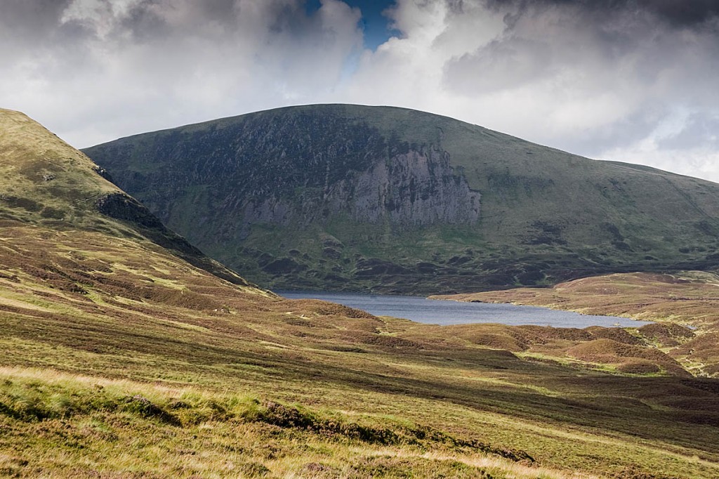 The raptors were released in the Moffat Hills. Photo: Bob Smith/grough The raptors were released in the Moffat Hills. Photo: Bob Smith/grough