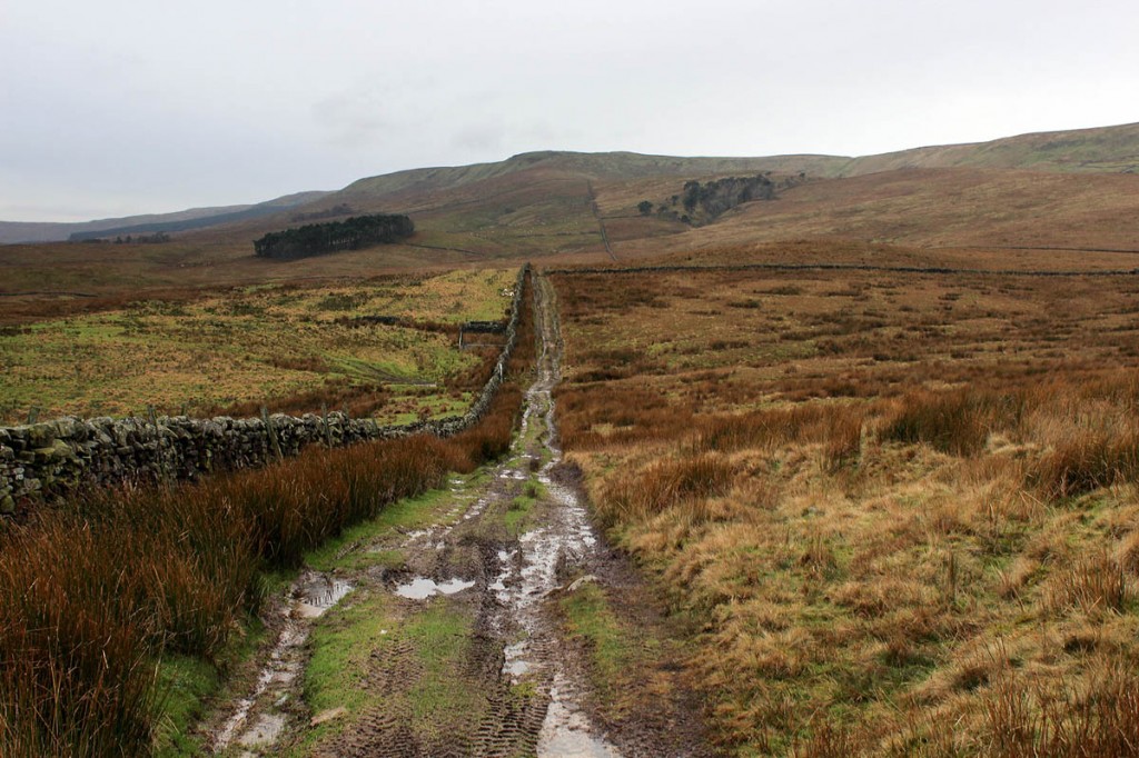 The traps were set on remote moorland on Widdale Fell. Photo: Chris Heaton CC-BY-SA-2.0 The traps were set on remote moorland on Widdale Fell. Photo: Chris Heaton CC-BY-SA-2.0