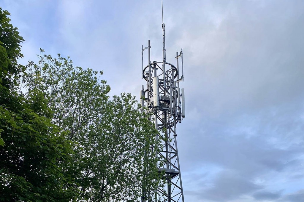 Almost 40 masts have been approved. Photo: YDNPA Almost 40 masts have been approved. Photo: YDNPA