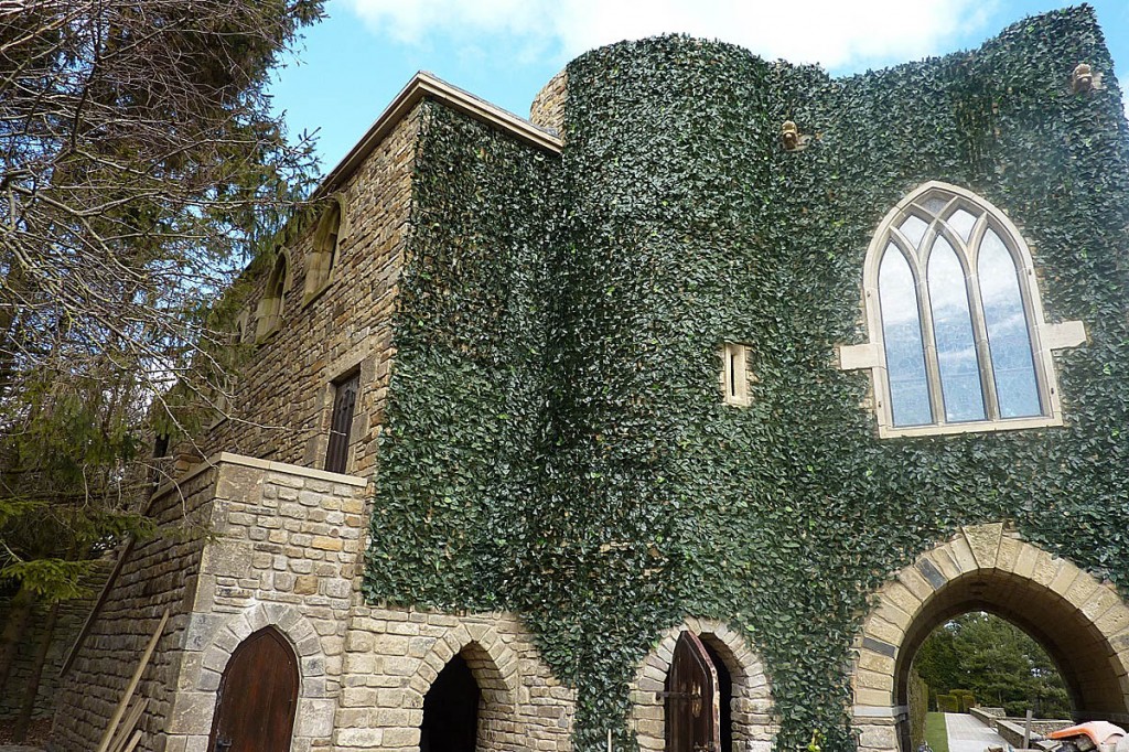 The mock castle has been covered in plastic ivy. Photo: Yorkshire Dales NPA The mock castle has been covered in plastic ivy. Photo: Yorkshire Dales NPA