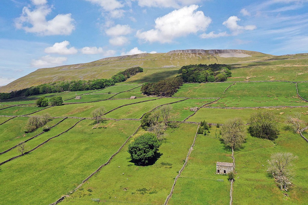 A long hot period has left parts of the Dales tinder dry. Photo: YDNPA A long hot period has left parts of the Dales tinder dry. Photo: YDNPA