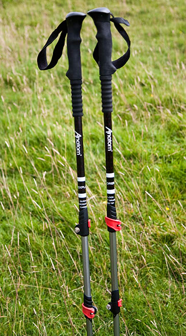 Anatom Explorer Anatom Explorer