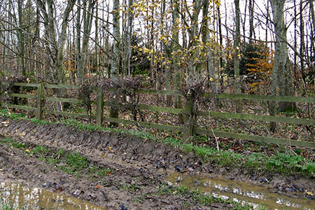 A fence blocked the footpath until recently A fence blocked the footpath until recently