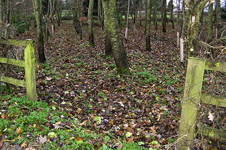 Mind the gap: the footpath was hurriedly unblocked