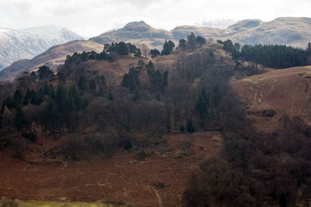 One of the walkers suffered a broken ankle while descending Arnison Crag One of the walkers suffered a broken ankle while descending Arnison Crag
