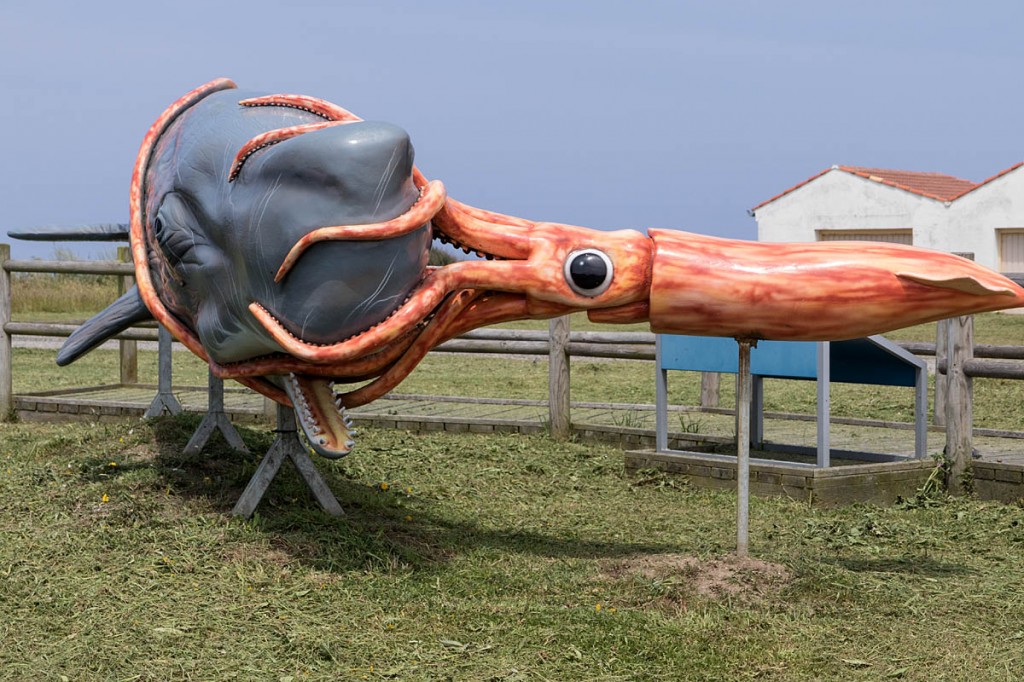 A glass-fibre marine battle at the lighthouse A glass-fibre marine battle at the lighthouse