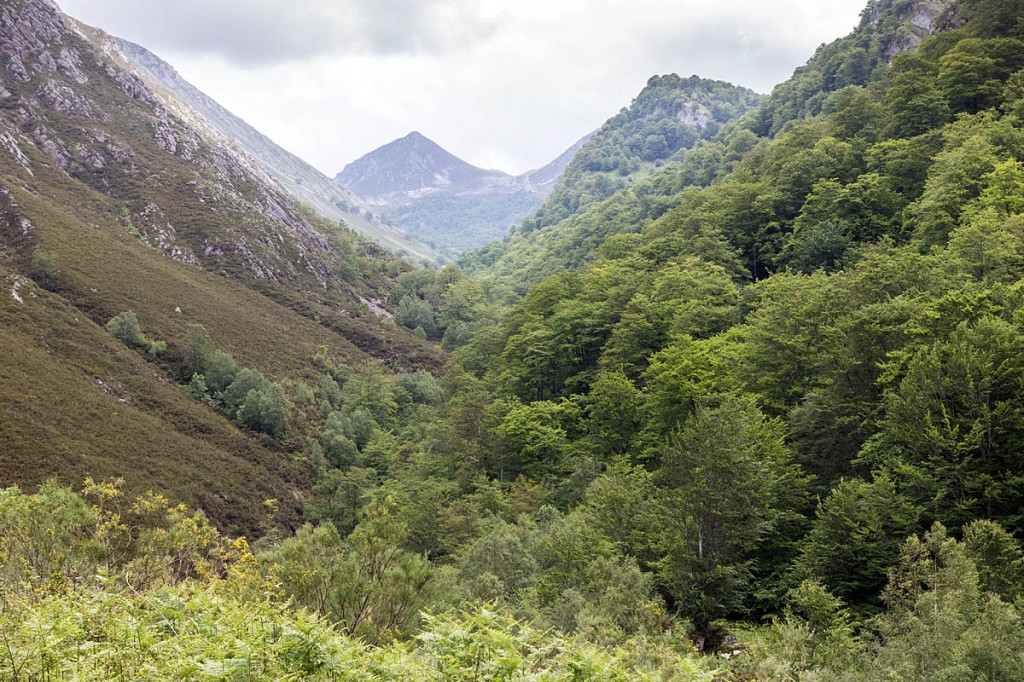 Looking back up the Arrudos Gorge Looking back up the Arrudos Gorge