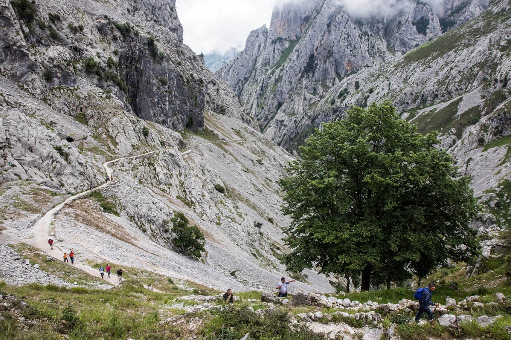 The path through the Cares Gorge climbs initially The path through the Cares Gorge climbs initially