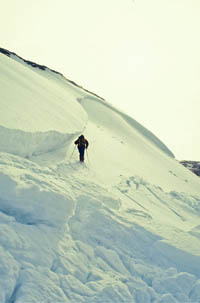 A large slab avalanche in Scotland. Photo: Avalex