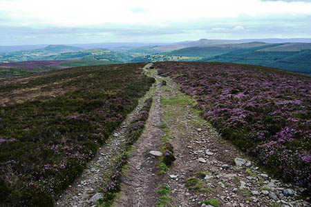 The girl collapsed on Bal-bach in the Black Mountains. Photo: Jeremy Bolwell CC-BY-SA-2.0 The girl collapsed on Bal-bach in the Black Mountains. Photo: Jeremy Bolwell CC-BY-SA-2.0