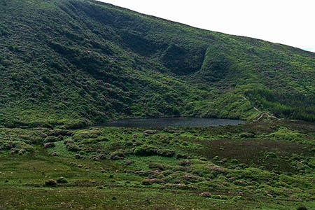 The walkers were trapped by rhododendrons above Bay Lough. Photo: John M CC-BY-SA-2.0