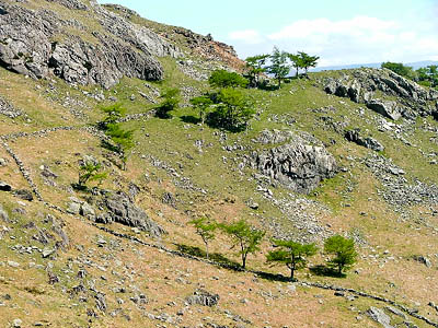 Birk Fell. Photo: Mick Garratt CC-BY-SA-2.0