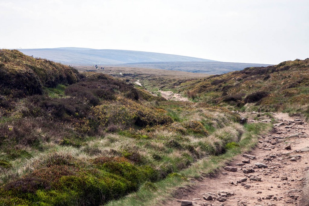 Properly maintained paths help attract walkers and other visitors, the OSS said Properly maintained paths help attract walkers and other visitors, the OSS said