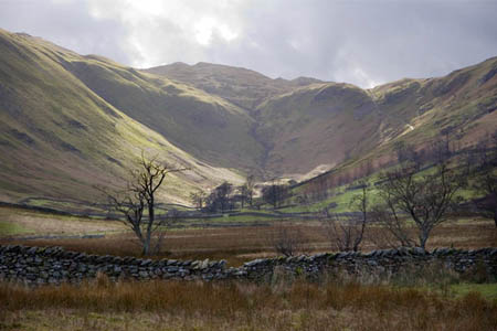 Boredale, scene of the incident. Photo: Fraser Darrah CC-BY-SA-2.0