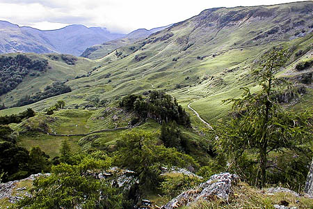 The woman was walking down Lingy Bank in Borrowdale when she slipped. Photo: P Leedell CC-BY-SA-2.0