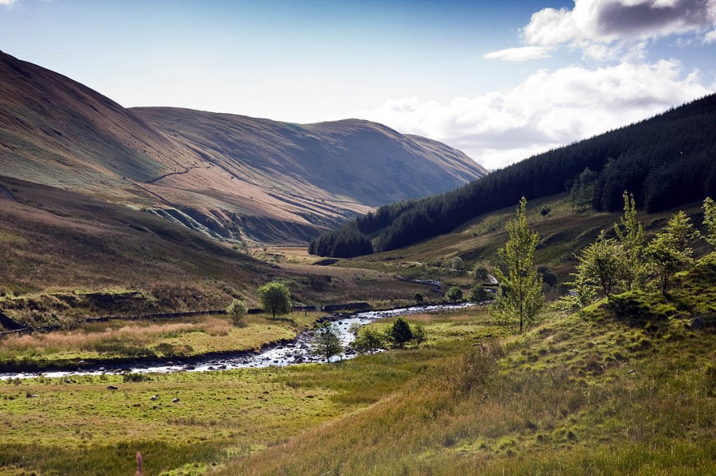 The tree planting will take place in Borrowdale, in the East of the national park. Photo: Bob Smith/grough