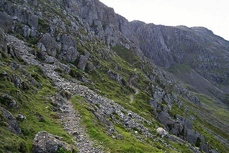 The Climbers' Traverse on Bow Fell. Photo: Raymond Knapman CC-BY-SA-2.0