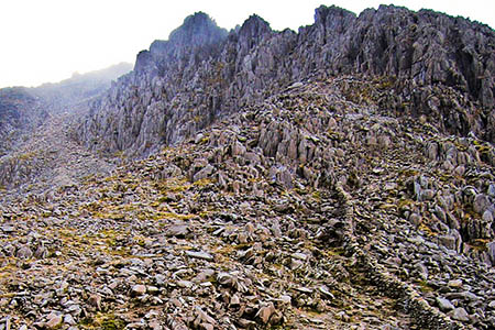 The couple were trying to reach Bristly Ridge. Photo: Chris McAuley CC-BY-SA-2.0