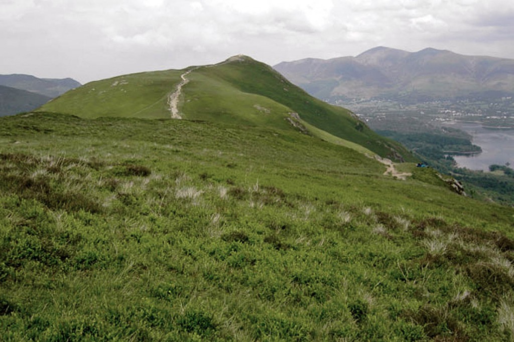 The walker collapsed near the summit of Cat Bells. Photo: Slbs CC-BY-SA-2.0