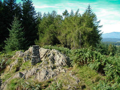 Claife Heights, above Windermere lake's western shore. Photo: David Brown CC-BY-SA-2.0