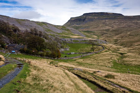 The Three Peaks pair were brought to Crina Bottom by the CRO team The Three Peaks pair were brought to Crina Bottom by the CRO team
