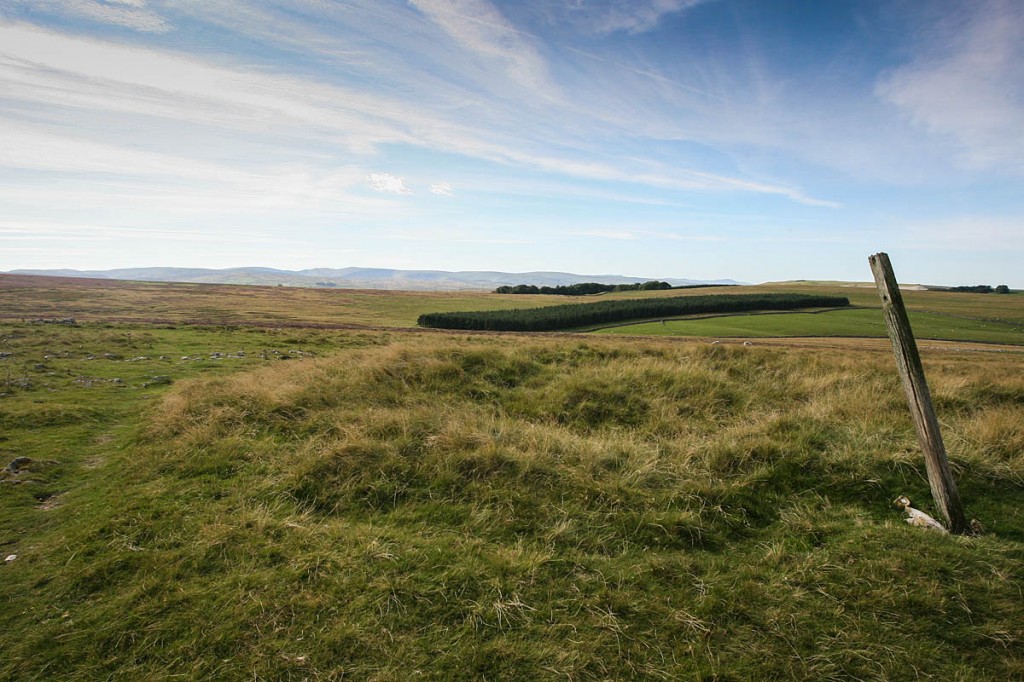 The search covered Crosby Ravensworth Fell, with Hardendale Quarry on its northern edge The search covered Crosby Ravensworth Fell, with Hardendale Quarry on its northern edge