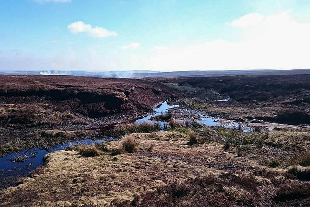 A boggy section of Cut Gate