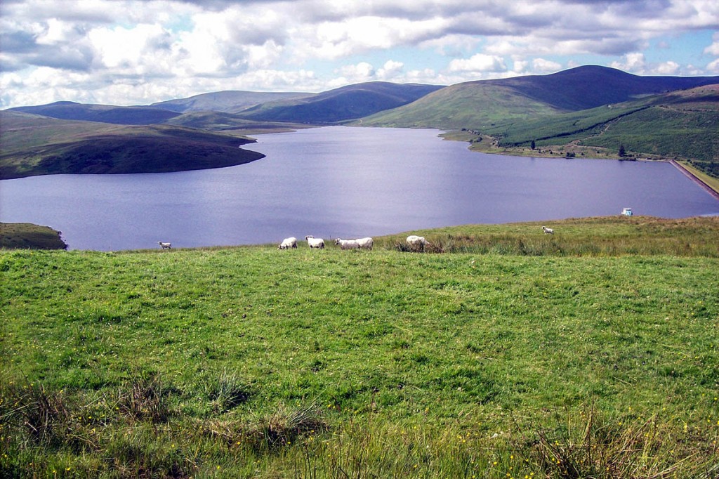 The bird's body was found near Daer Reservoir, South Lanarkshire. Photo: summonedbyfells CC-BY-2.0 The bird's body was found near Daer Reservoir, South Lanarkshire. Photo: summonedbyfells CC-BY-2.0