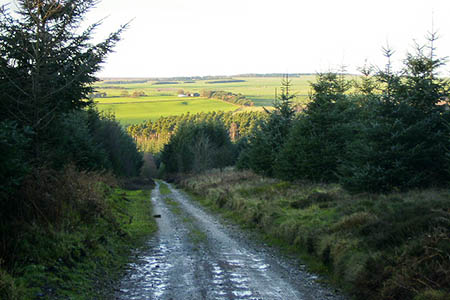 The team was called to help a rider and his dog in Dalby Forest. Photo: Phil Catterall CC-BY-SA-2.0