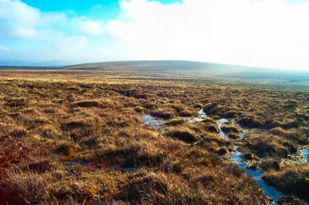 Dartmoor: favourite venue for the OMM this year? Photo: Richard Knights CC-BY-2.0