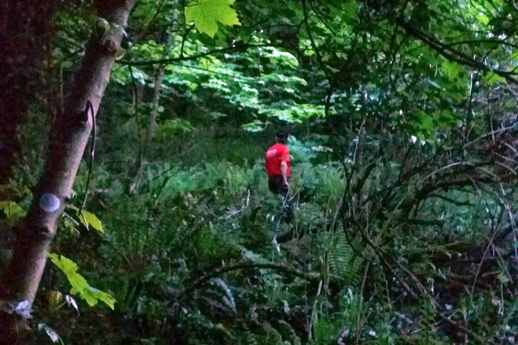 The searches took place in woods near Petit Tor Point. Photo: Dartmoor Search and Rescue Ashburton